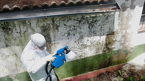 Trusted Commercial Mold Remediation service in Avondale Estates, GA - Cheap Mold Removal